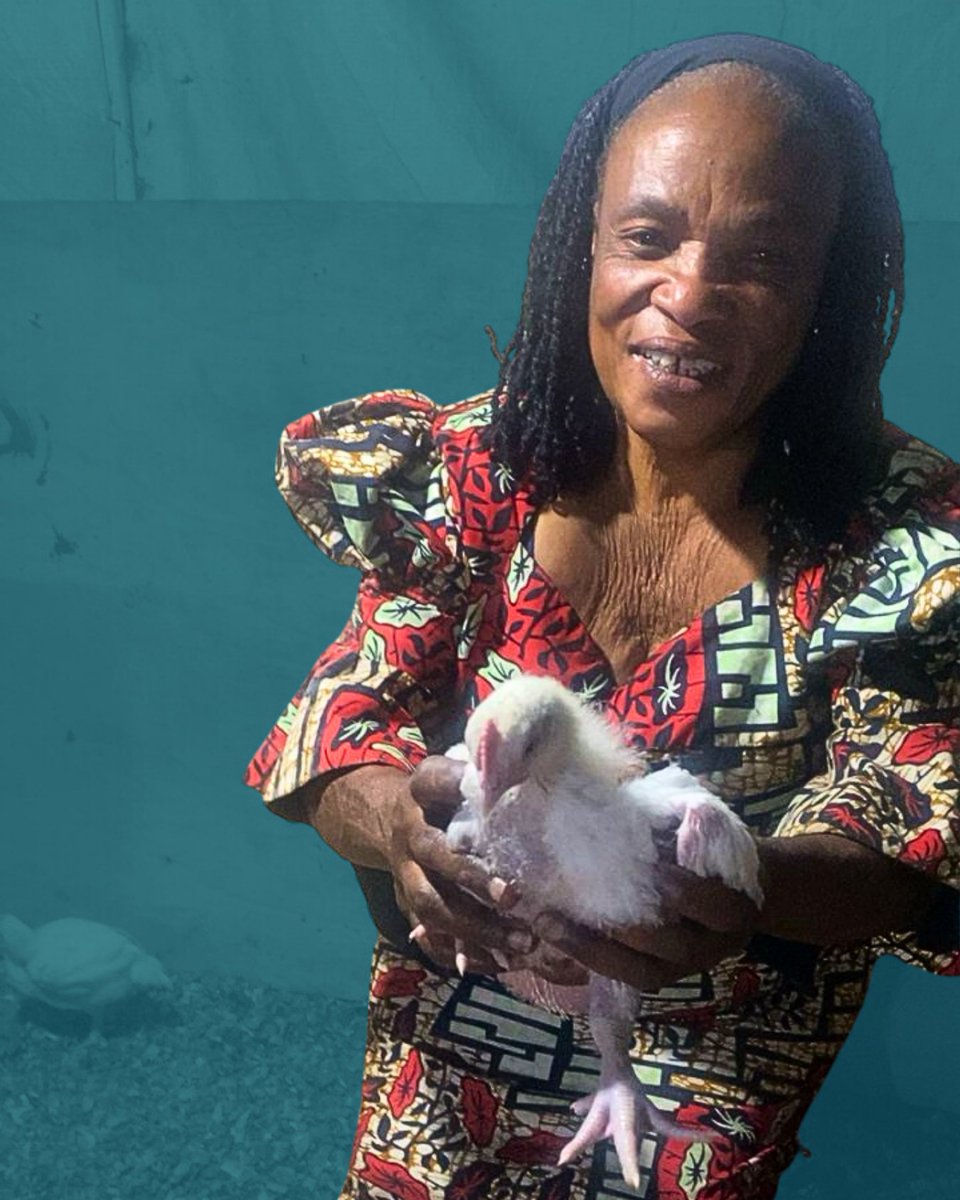 Eastern Congo Initiative tweet media