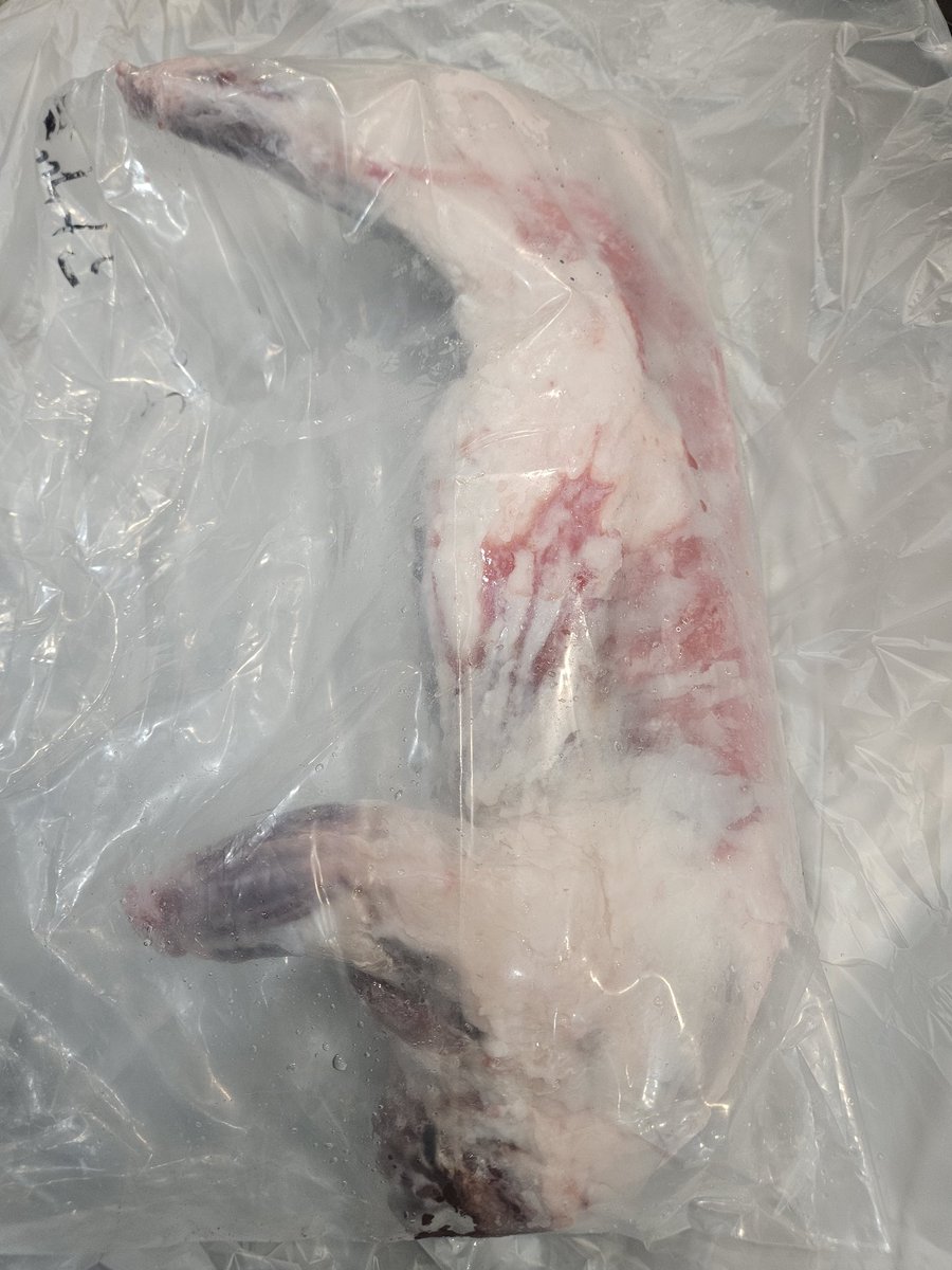 T.Kamizuki tweet media