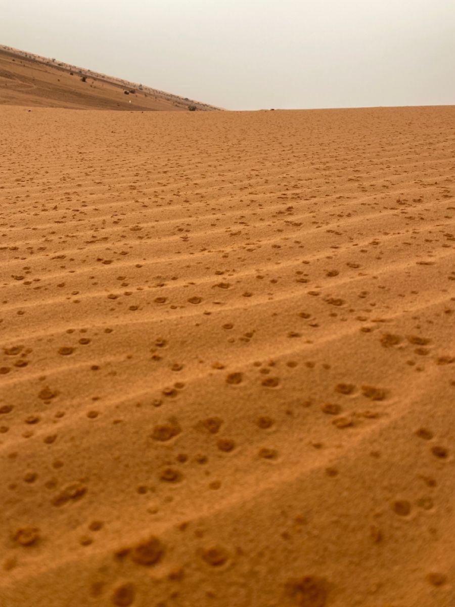 جـَـوى tweet media