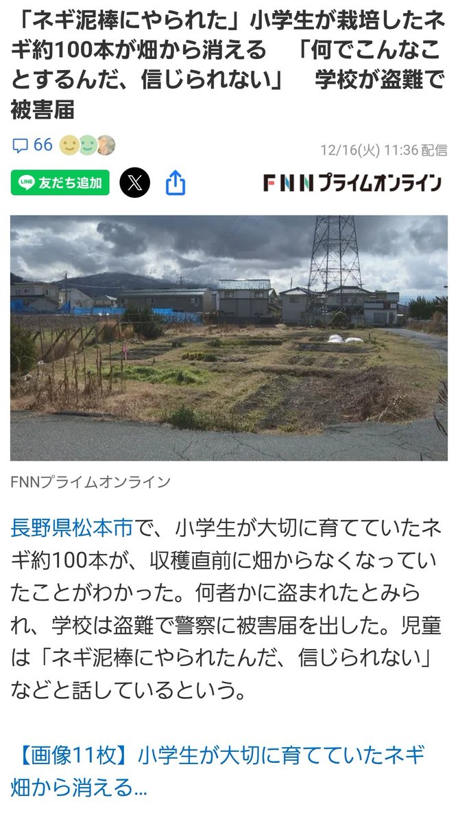 shikamaro3142's tweet image. 流石へずま氏。
やっぱり何も分かってない。

自分たちで植えて、世話して、やっと育てたネギを
収穫直前に盗られる気持ちなんて、
一生へずまには分からんと思うわ。

こういう出来事を利用して
「良い人」のふりするの、もうやめたら？

本来これは
学校・自治体・教育委員会が対応すべき案件。…