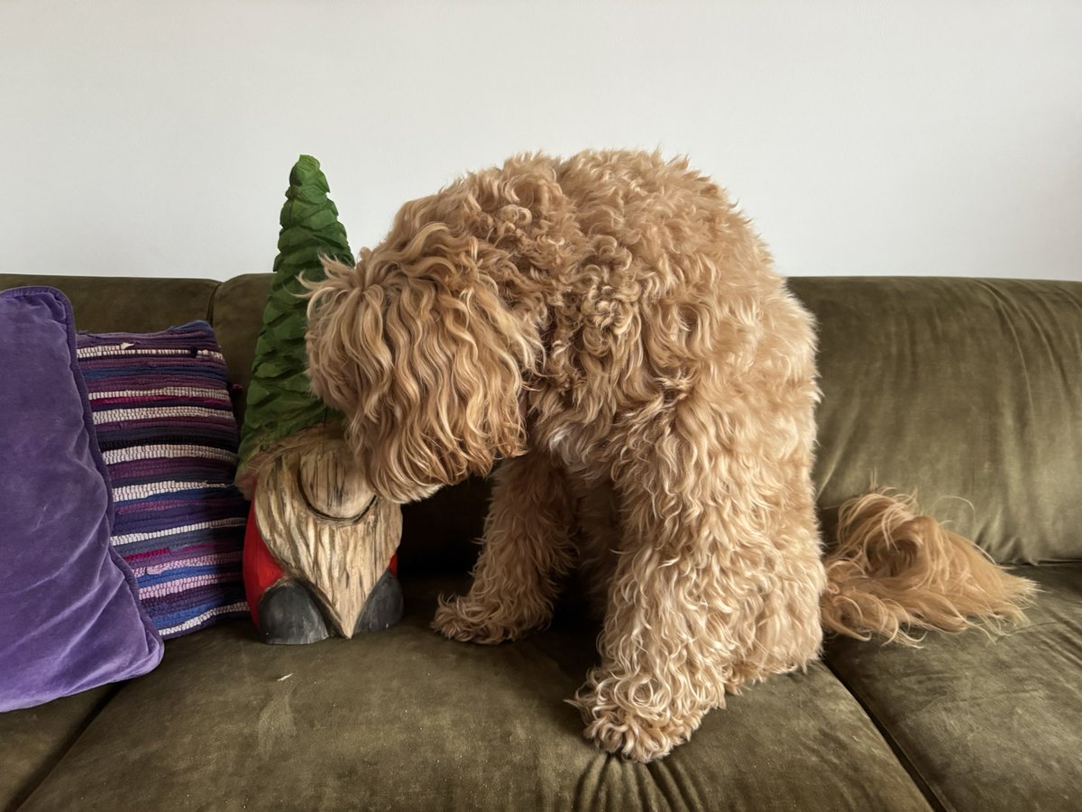 Beppie update:

‘Ik heb ‘n nieuw vriendje!’ 

- Beppie!