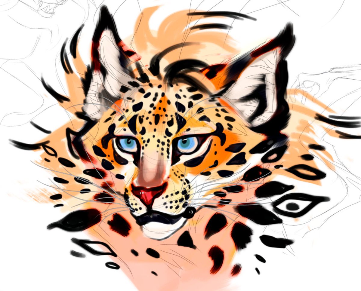 FeurigenSatarh's tweet image. #leopard
