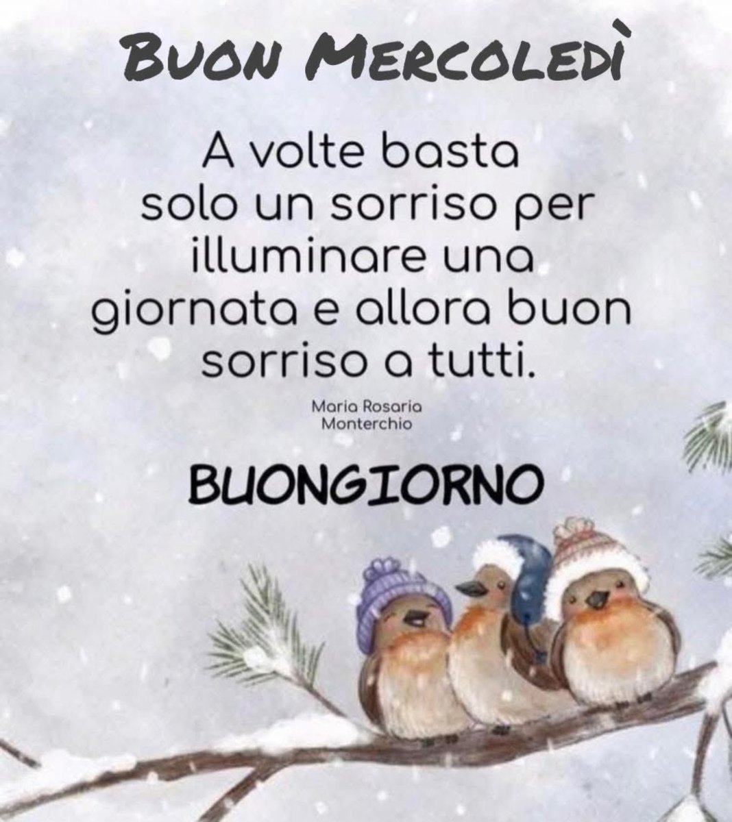 RITABIANCHi56 tweet media