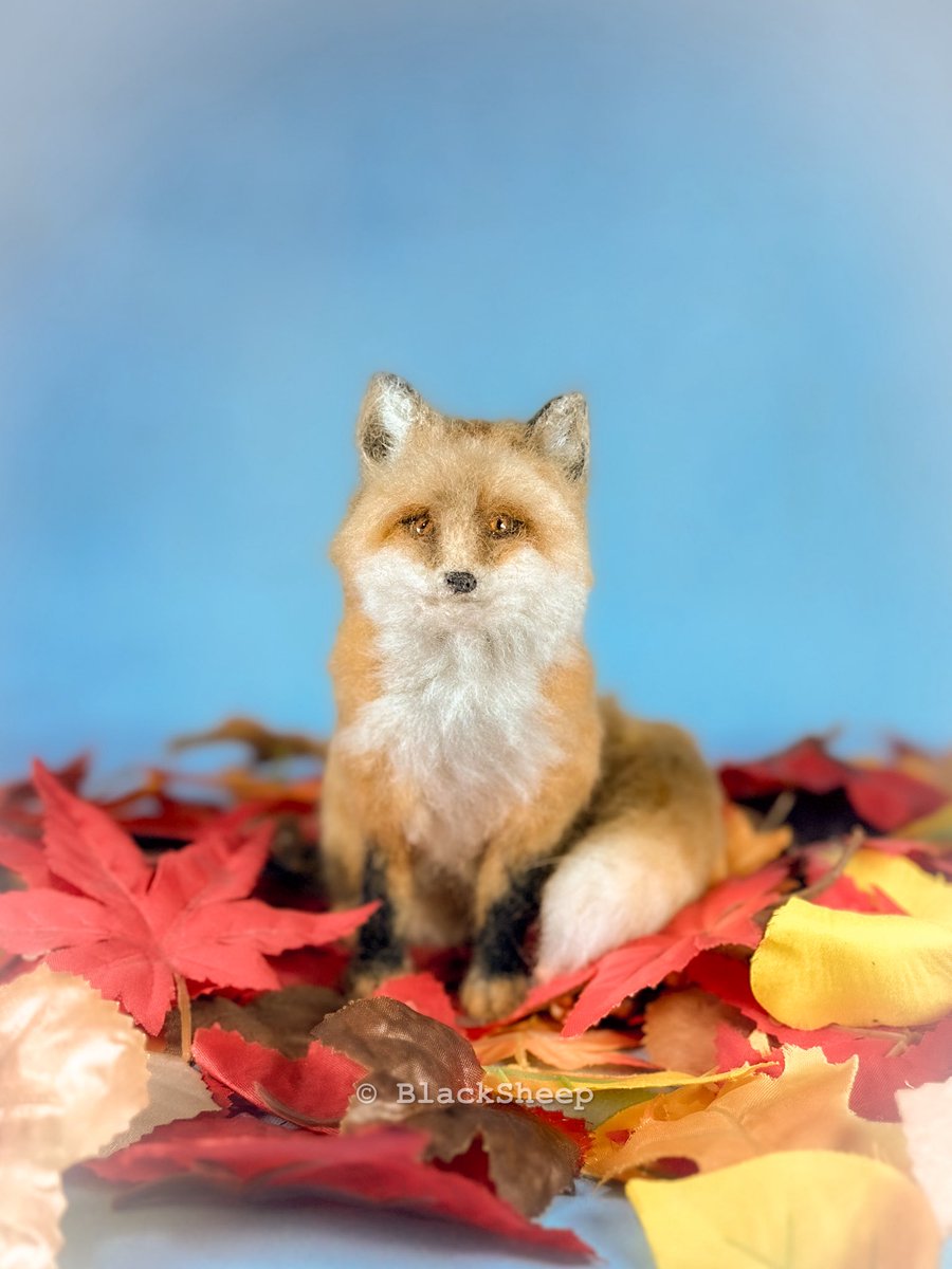 Hiroko@羊毛フェルト (@Hiroko_NeFe) / Posts / X