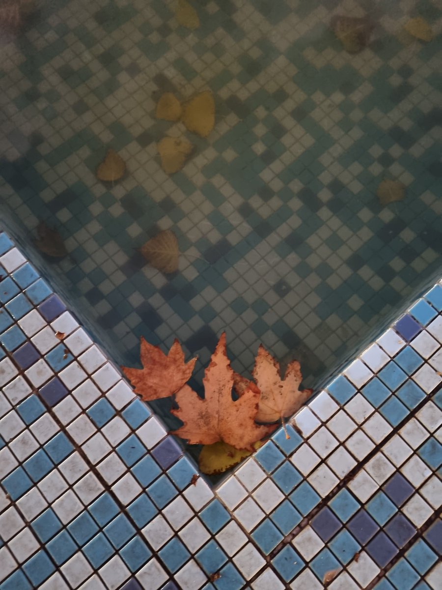 Beh91 (@behdadjalali) on Twitter photo 