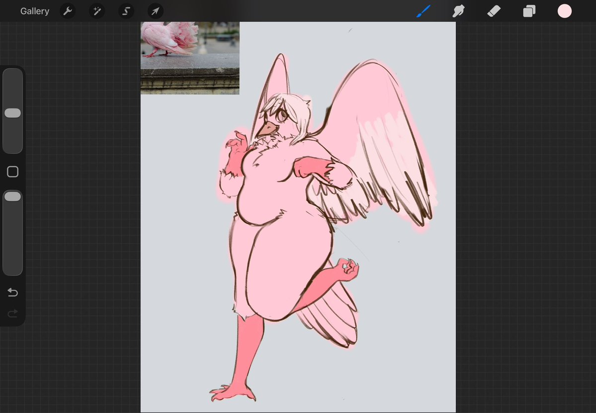 StupidCuteKitty's tweet photo. This is mourn, my dnd Character for a sky campaign we’re doing! She has 3 other siblings, all adopted along the way; she’s so naive and innocent which makes sense since she’s the youngest bird. Her goal is to be the goddess of kindness~
#dnd #art https://t.co/liwgy3PCm7