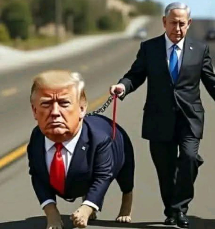 The great America 😂
#MAGA 🤣 #TrumpEra #Trump 
They say a picture is worth a thousand words.