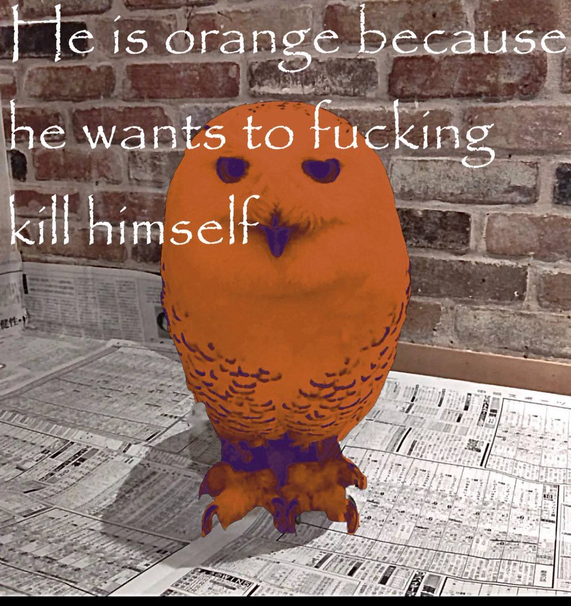 Savos International tweet media