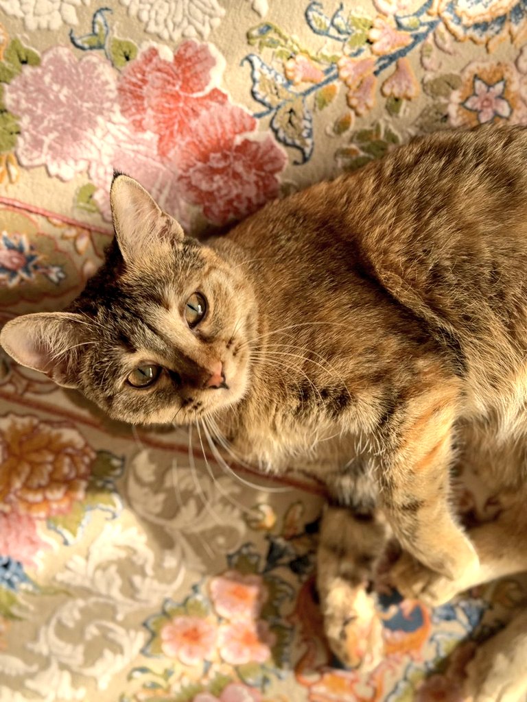 banito ❤️‍🔥 tweet media