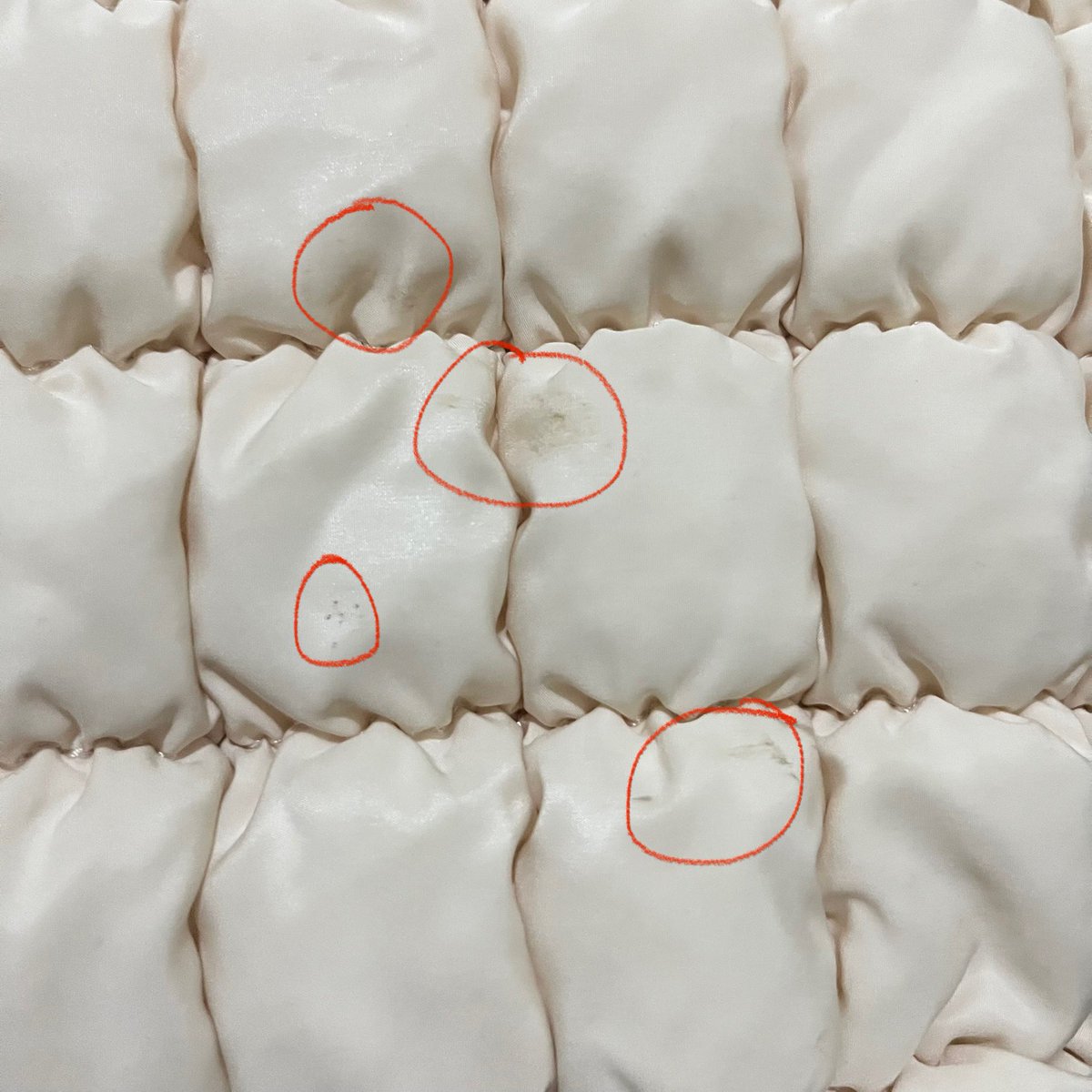 Pie 🥧 tweet media