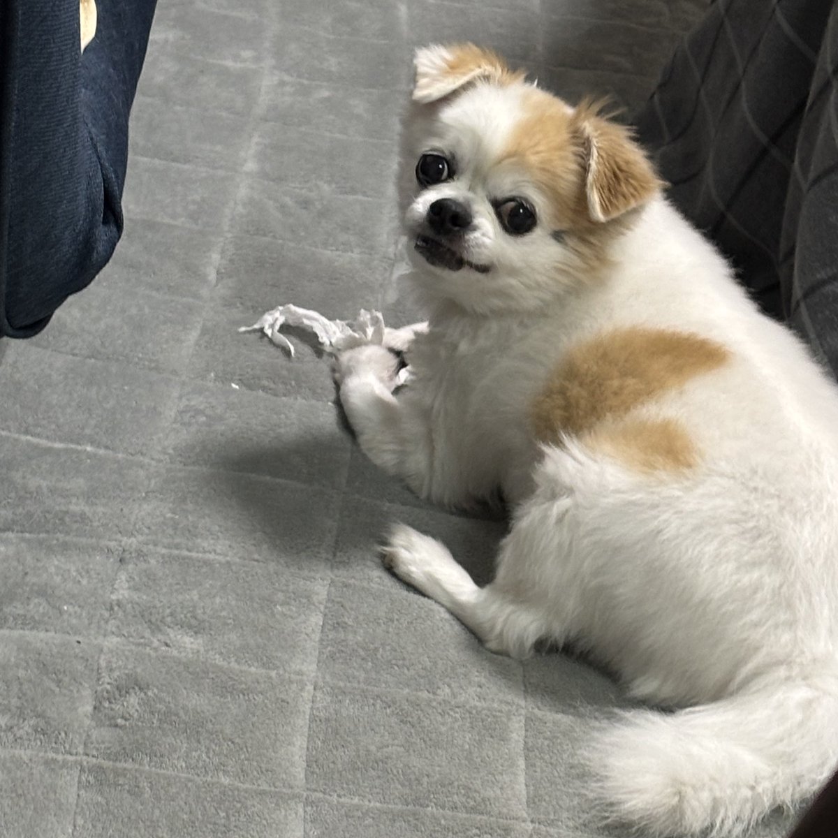 智美様ご確認ページ◡̈♡ まだ断定してないのかわいい