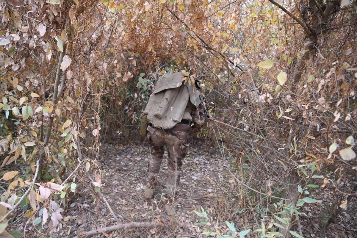 العمليات الخاصة tweet media