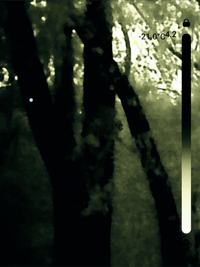 Whats on your thermal tonight lol.