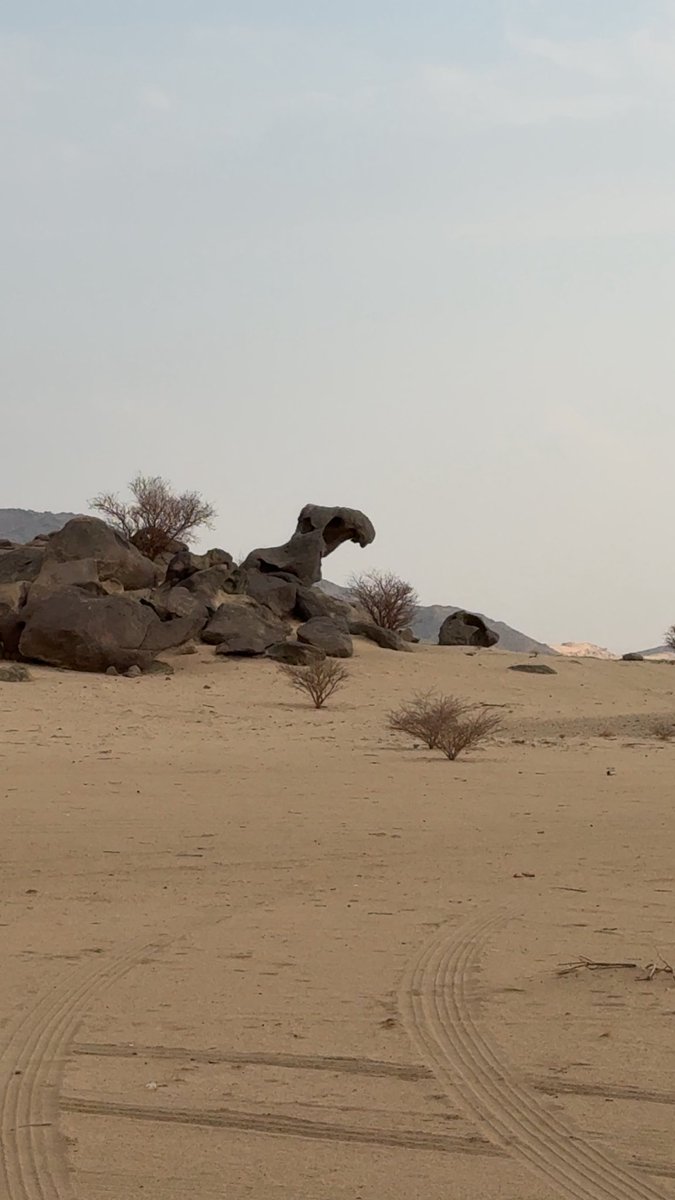 سبحان الله 
قطعة من جبل تشبه رأس جمل - بيشة