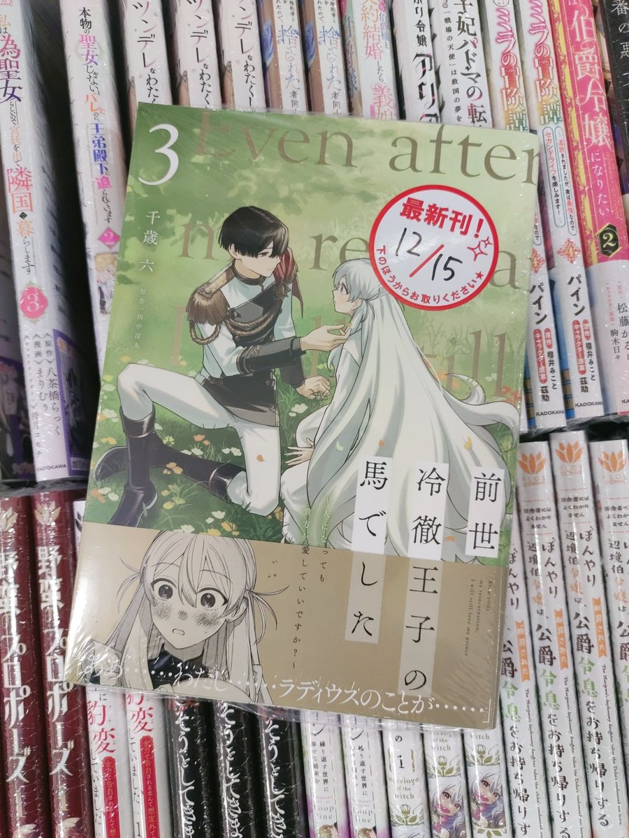 #前世馬 3巻本屋さんでも発見しました💕
何度見ても本屋さんで売ってるの見ると感動します😭✨
1～3巻揃えるとまた圧巻の表紙"美"なのでこの機会にぜひにー🙇🏻‍♀️´-！