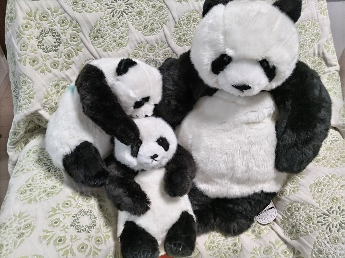 上野動物園 あ】上野動物園 シャオシャオ レイレイ ぬいぐるみ