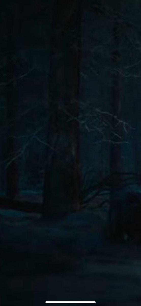 ryanjasonx's tweet photo. @baileylikemovie omg also this on the tree… https://t.co/8b1omG4XO7