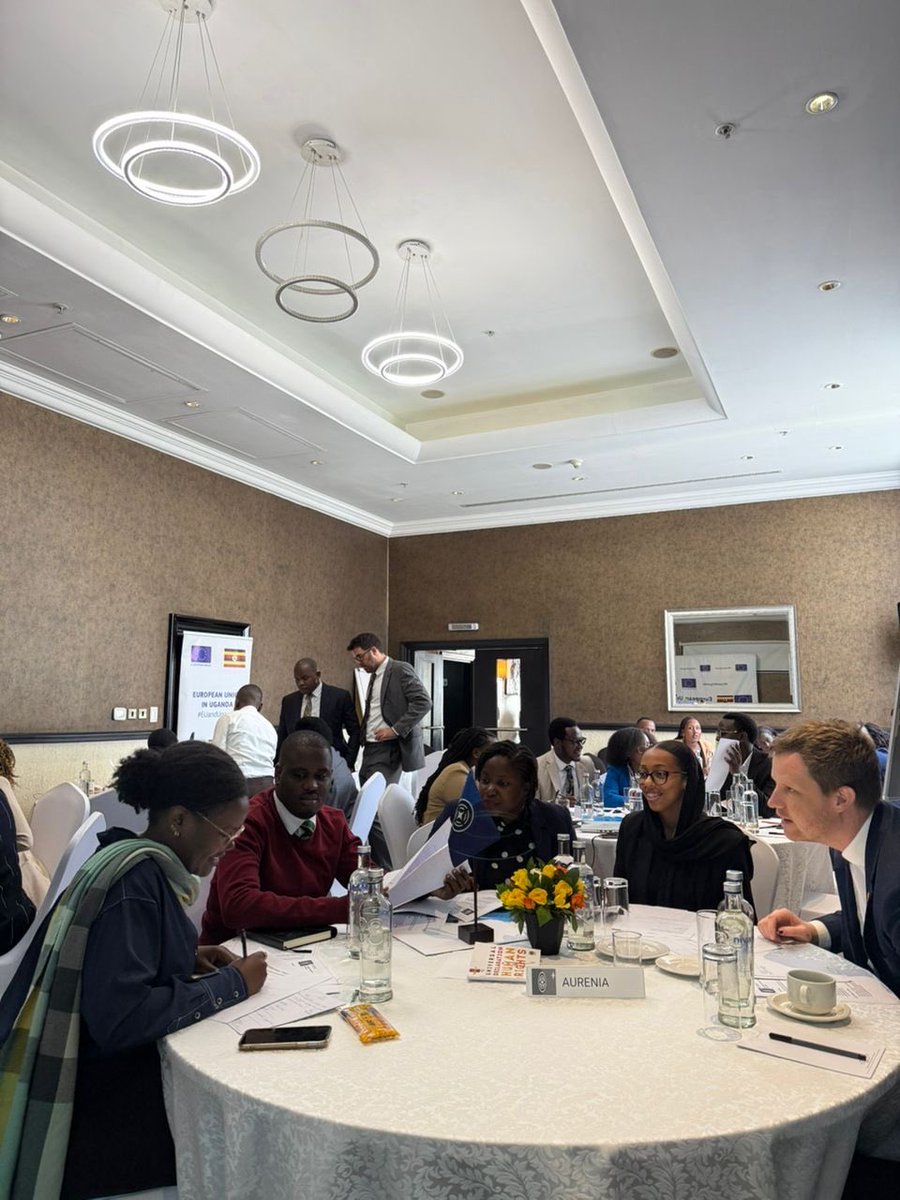 This was an engaging demonstration of negotiation and multilateral practice at the EU-hosted Human Rights Simulation in Uganda, culminating in the drafting and “ratification” of ten articles for a (fictional) Universal Declaration of Human Rights.
#Aurenia