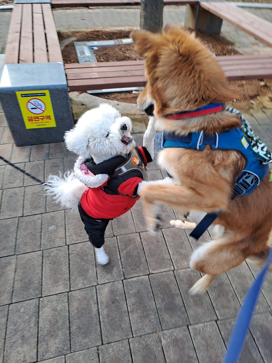 lambert078's tweet image. 엄마가 쭈 동네에 친구생겼다고 사진보내줬는데 아니 친구맞아?ㅋㅋㅋㅋ