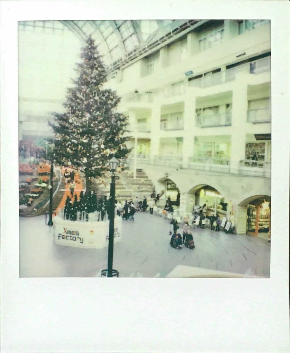 2025.12.17 Polaroid SX-70 ALPHA1 Polaroid Color 600 Film #polaroid