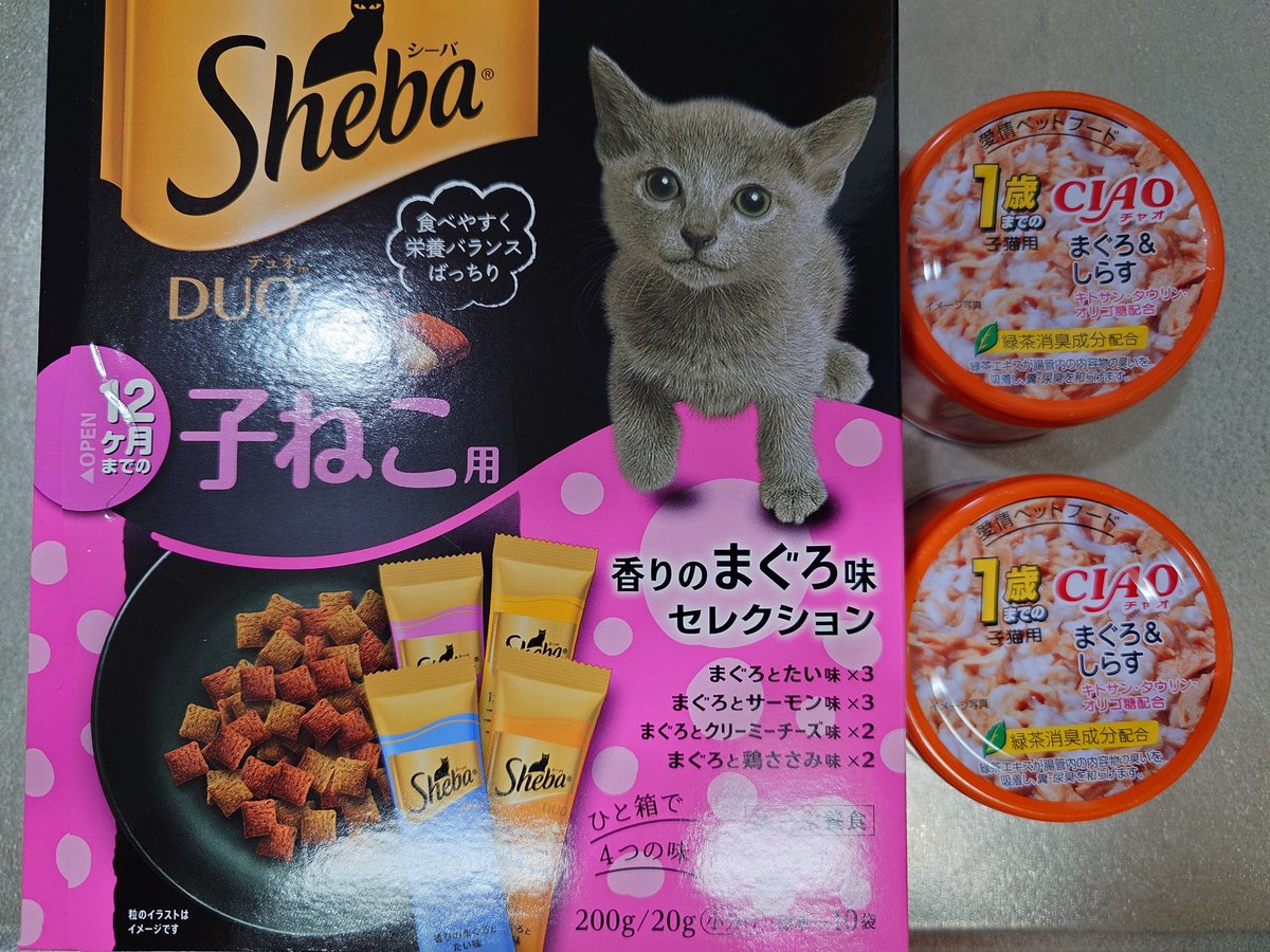 ZX25Rシェル子 (@zxsheltie25r) / Posts / X