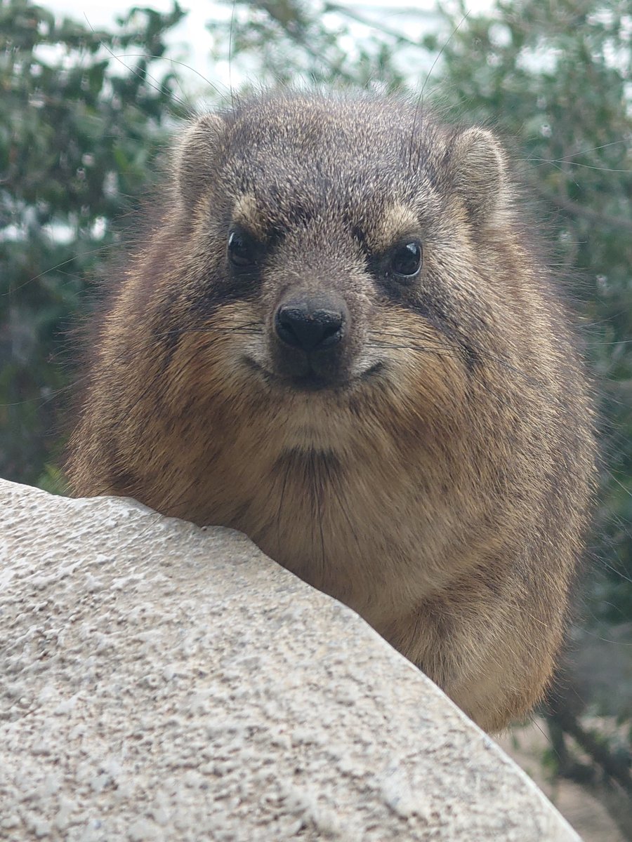 カッパさん (@kappashan13) / Posts / X