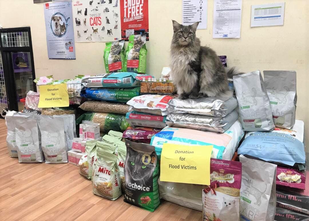 Salam semua,

Kami nak buka donation untuk kucing-kucing mangsa banjir sekitar Kuantan.

Sesiapa yang ingin menyumbang, boleh datang membeli barang keperluan kucing di petshop SOOKIES, Tg Lumpur. Tak kisah barang apa pun, kami akan berikan special discount untuk item tersebut.