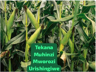 With makeup And with out Makeup 💄 ✨️