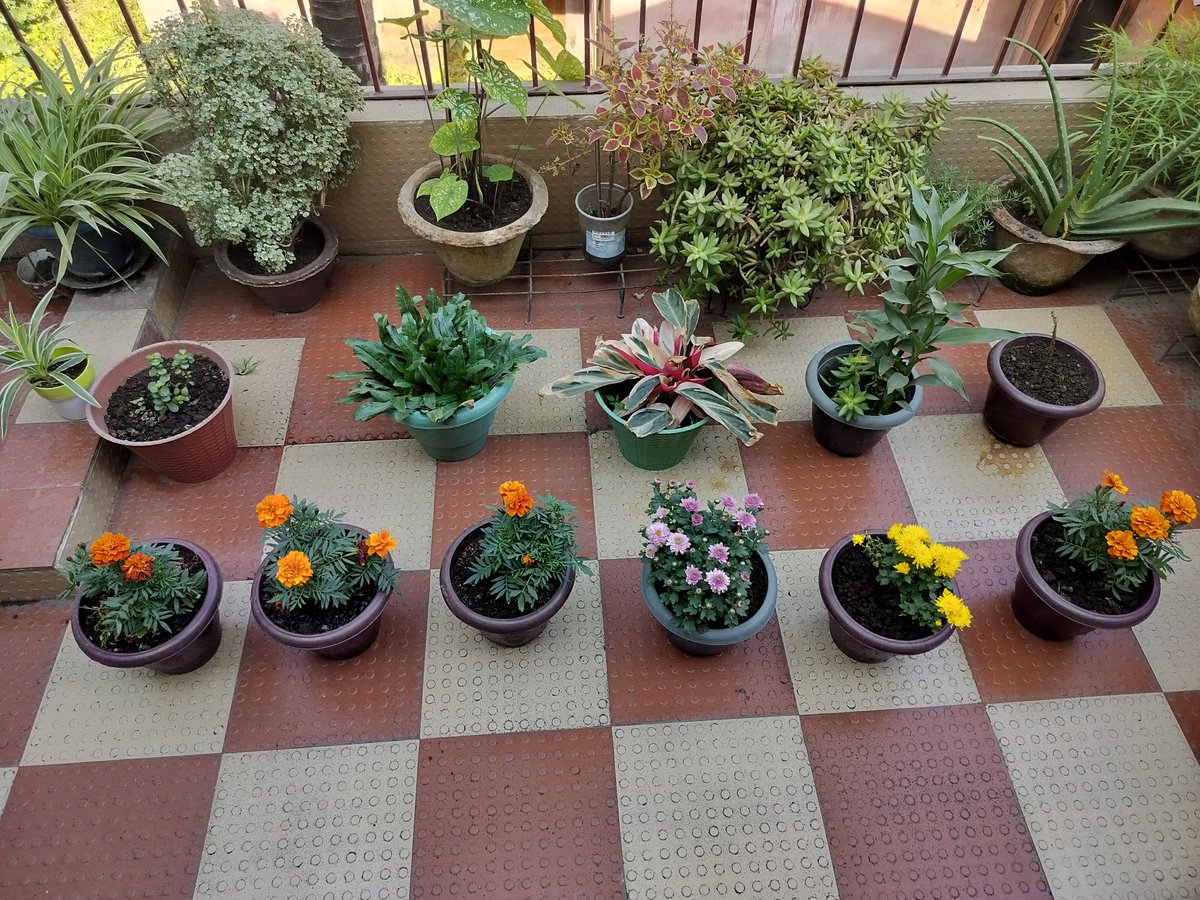 abhilash chetia wanniang tweet media