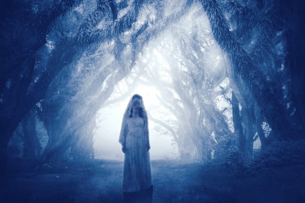 isleofweired's tweet photo. Men dropped to their knees in prayer when she appeared. Who was the mysterious "lady in white"? A short - but true - ghost story for Christmas ...
https://t.co/iex81AZsK3
#Ghost #paranormal https://t.co/PfaDrxrpiJ