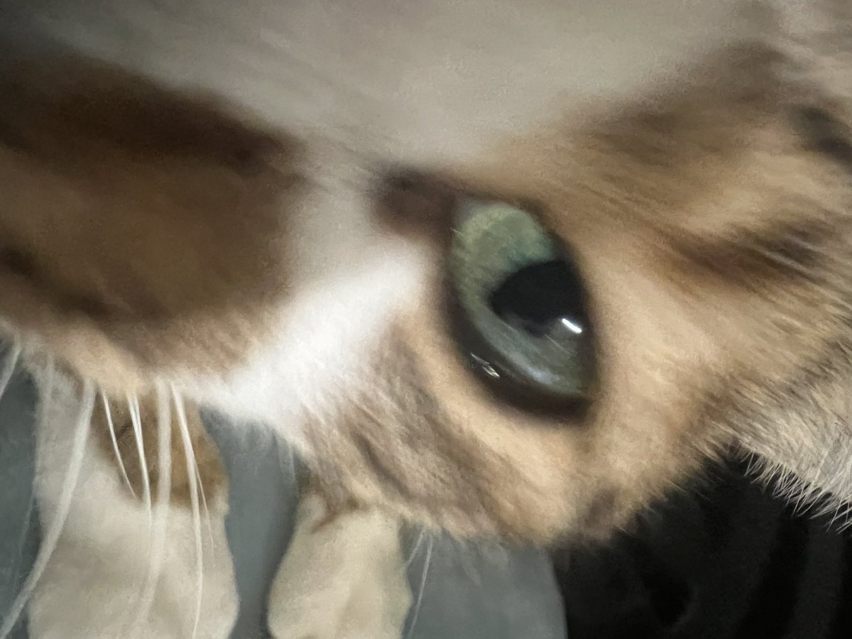 拍個照要貼這麼近

#喂威