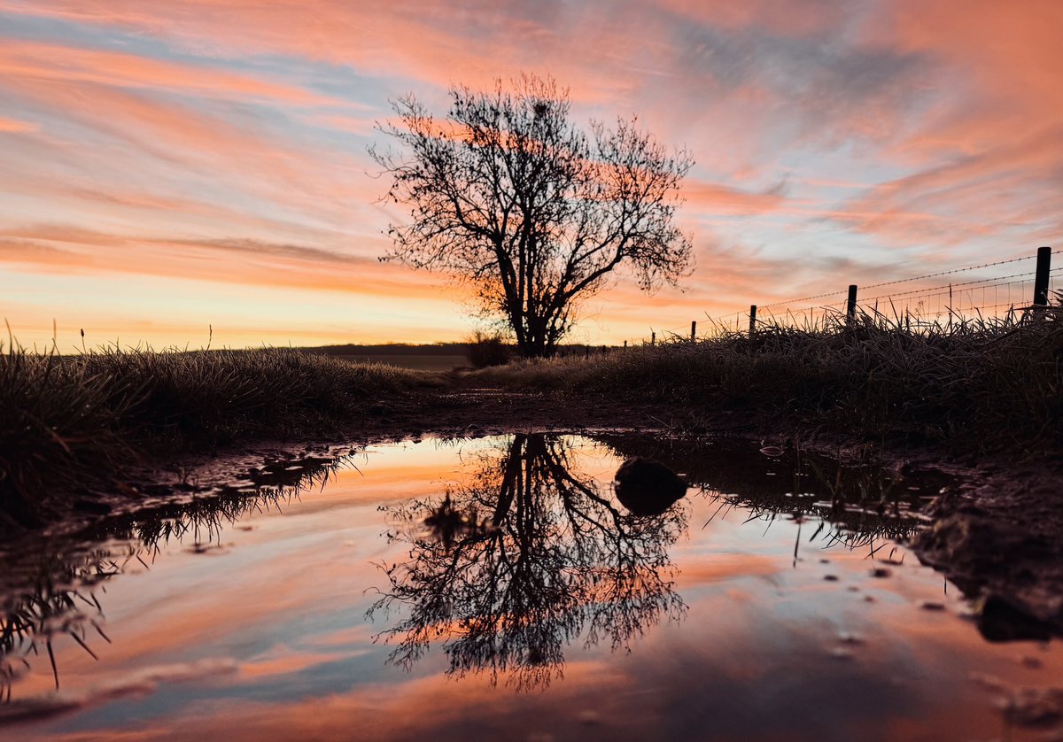 IPRealities's tweet image. Glorious sunrise!!