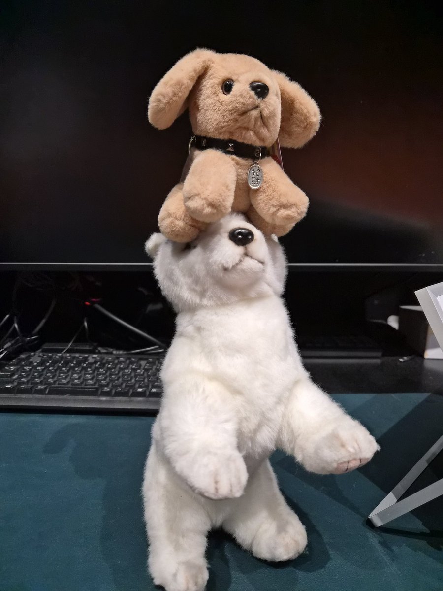 sunghoon: i'm a white puppy and jake is a brown puppy