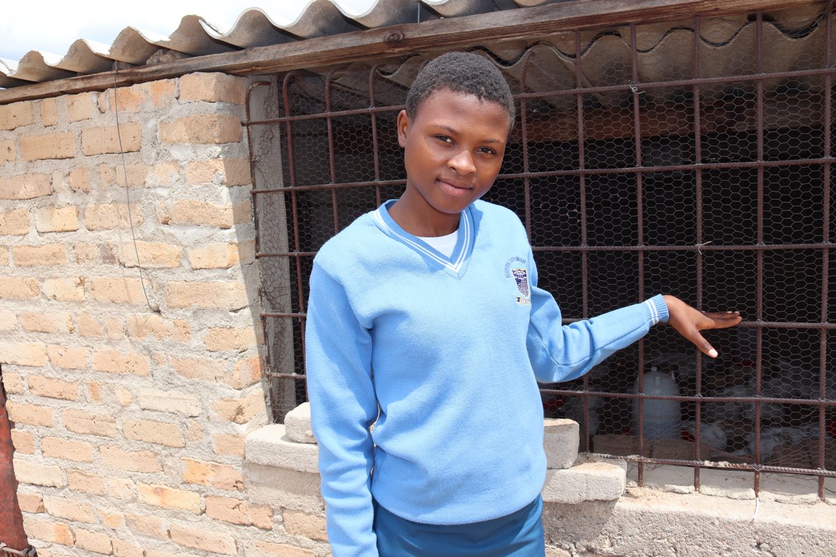 CARE Zimbabwe tweet media