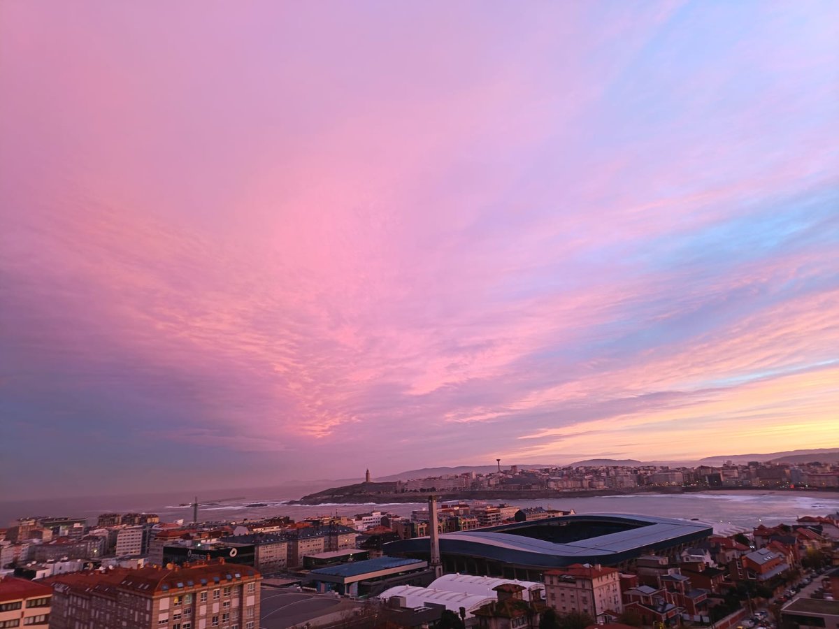 Bea Hervella tweet media