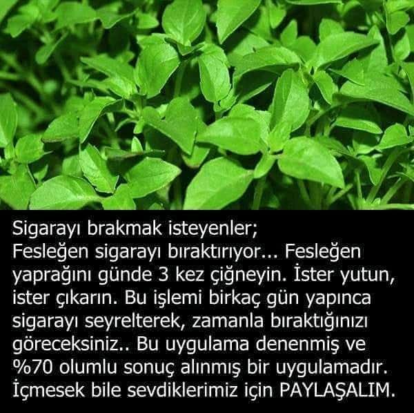 Recep Somuncu tweet media