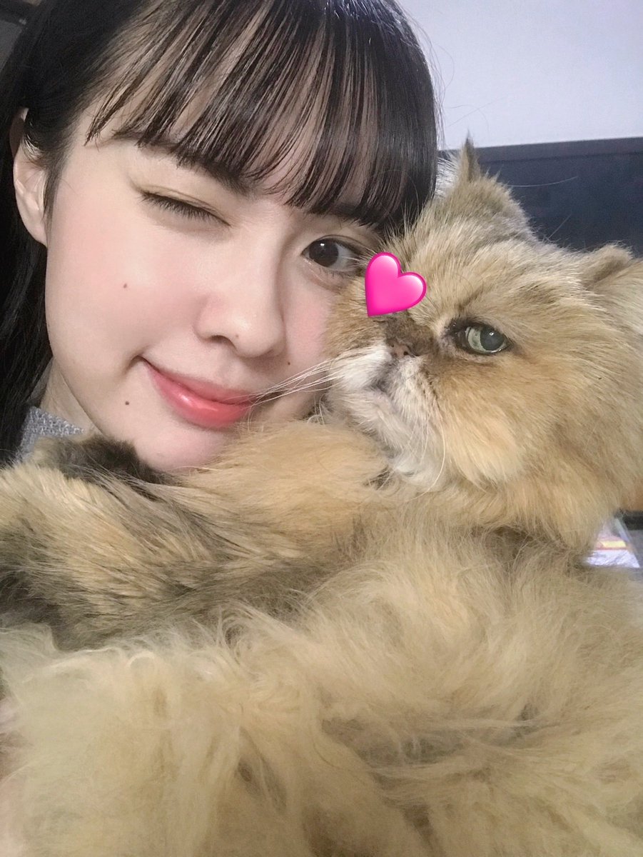 長年ニャンコと暮らしてると 言葉は通じなくても、気持ちがわかる