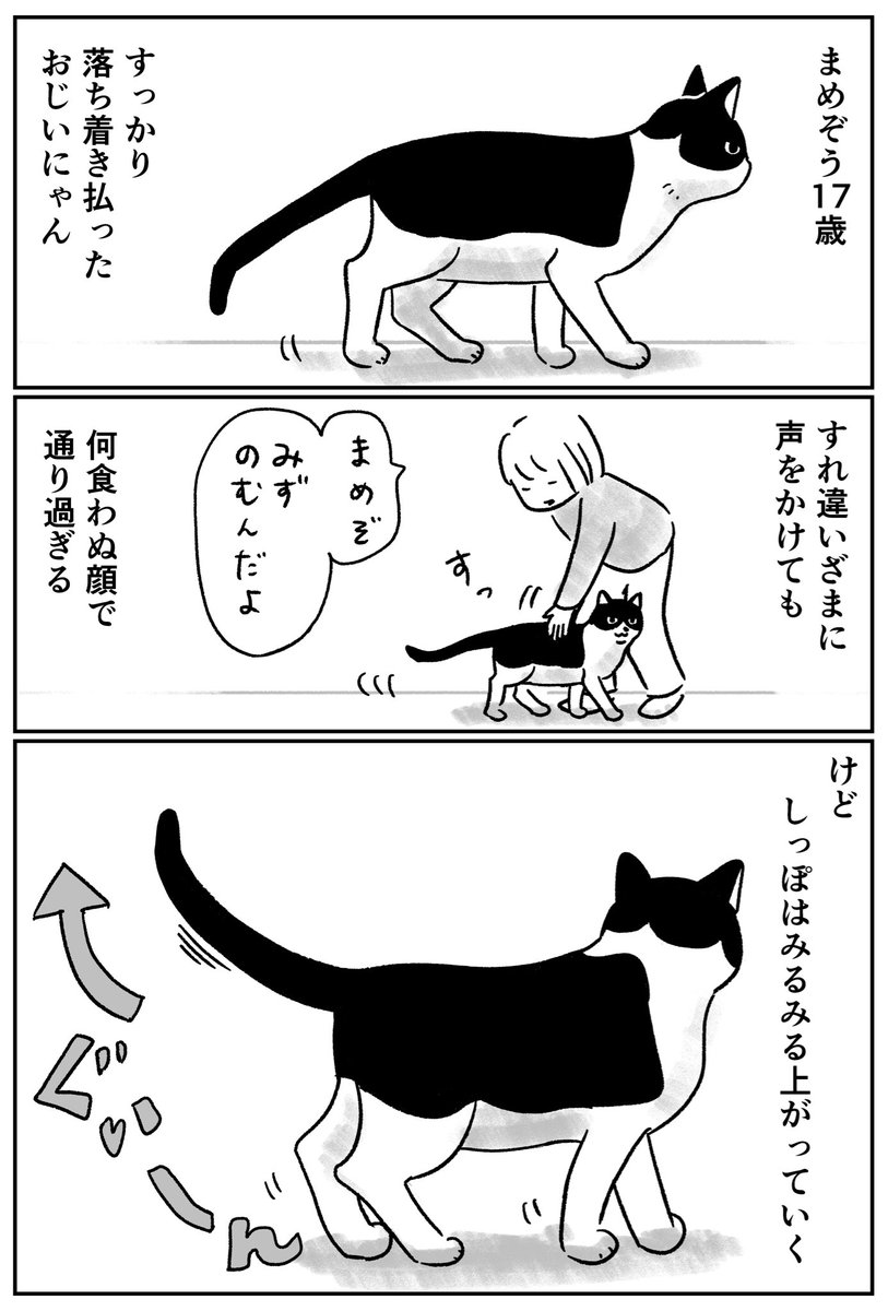 しっぽは正直 