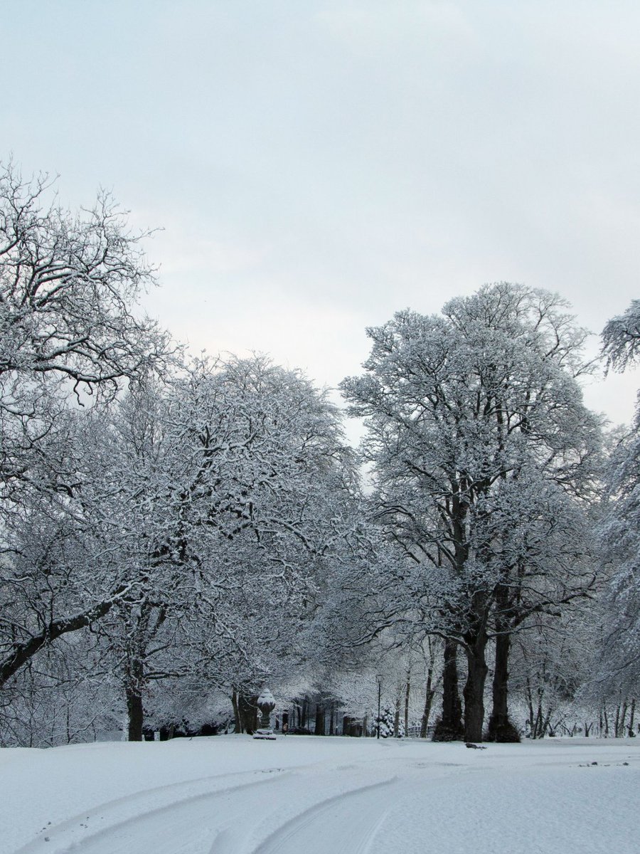 Shortbread's tweet image. Our home in Aberlour becomes a festive winter wonderland each year, and we love seeing the local community come together to share in the magic. 

What’s your favourite festive tradition with friends and family?

#WalkersShortbread #ScotlandAtItsFinest #Speyside #Heritage #Festive