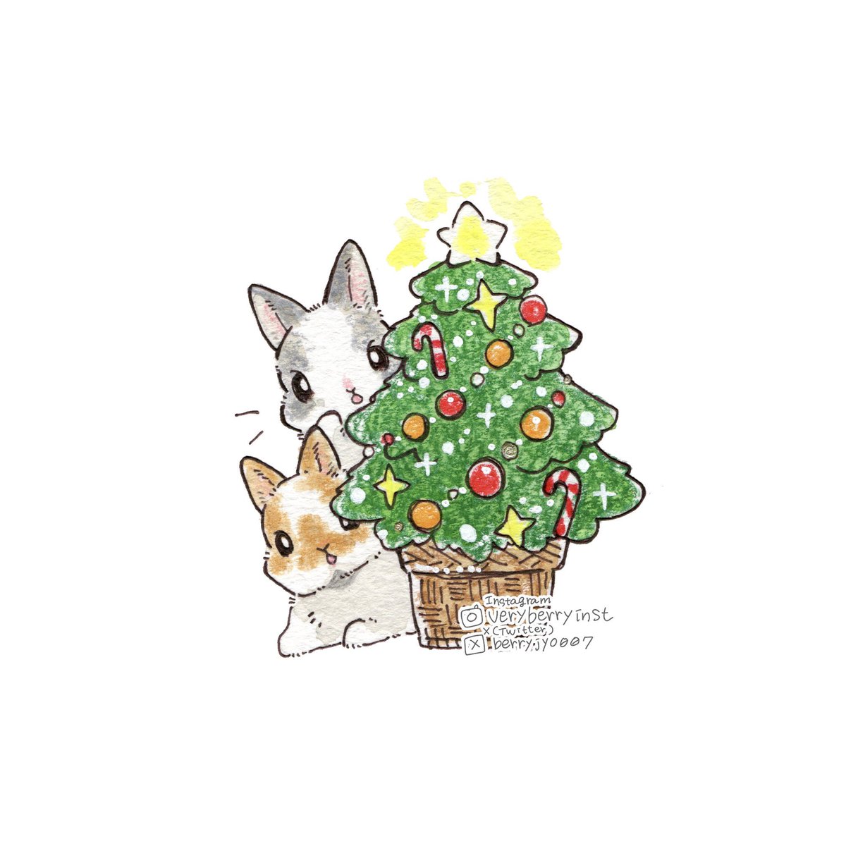 🐰うさぎさんのクリスマス🎄🎁 サンタさん…きた？ まだかなぁ？