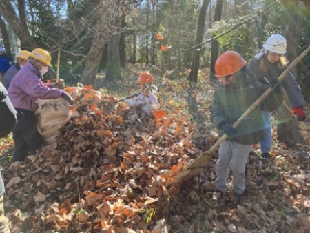 🌳2026年最初のプログラム🌳参加者募集中🪵 『アカマツと名木の森を守