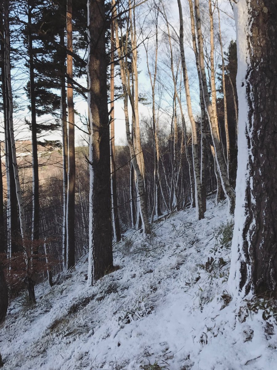 Shortbread's tweet image. Our home in Aberlour becomes a festive winter wonderland each year, and we love seeing the local community come together to share in the magic. 

What’s your favourite festive tradition with friends and family?

#WalkersShortbread #ScotlandAtItsFinest #Speyside #Heritage #Festive