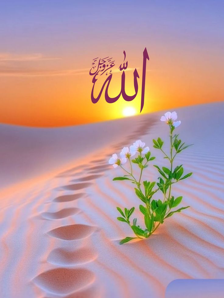 🌹🌹🌹🌹🌹🌹
﷽
"Rızık Allah'tandır" (Hud 6)
🪻🪻🪻🪻🪻🪻
﷽
"Şifa Allah'tandır" (Şu'ara 80)
🌷🌷🌷🌷🌷🌷
﷽
"Başarı Allah'tandır" (Hud 88)
🌼🌼🌼🌼🌼🌼
﷽
"Huzur, Allah'tandır" (Necm 43)
🌻🌻🌻🌻🌻🌻
﷽
"İzzet Allah'tandır" (Al-i İmran 26)
💐💐💐💐💐💐