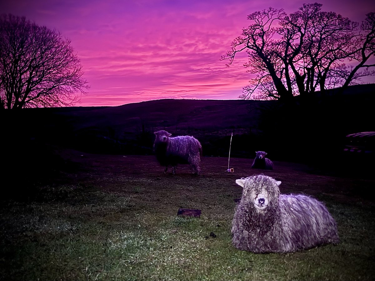 The #OffGrid Gardener tweet media