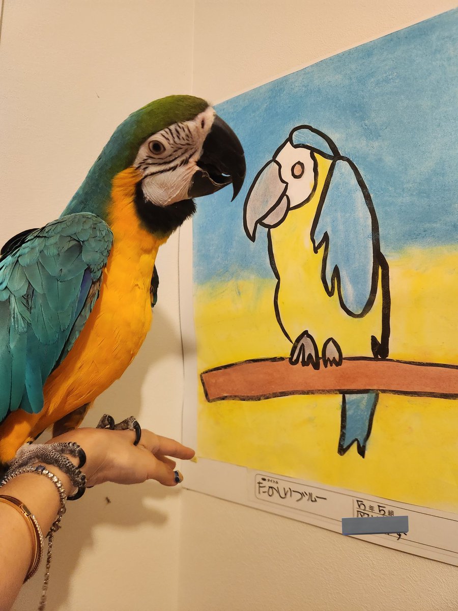 s51030488's tweet photo. 娘が学校の作品展でかいたブルーがなんとも言えないセンスにww
��手くなったもんだな🤣🤣 https://t.co/NCCRCcdNGV