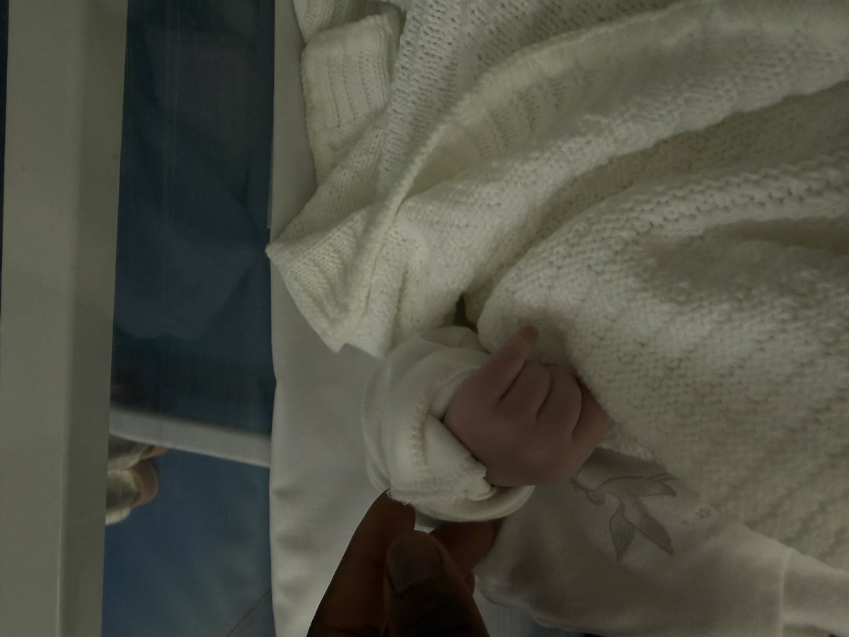 Bananino tweet media