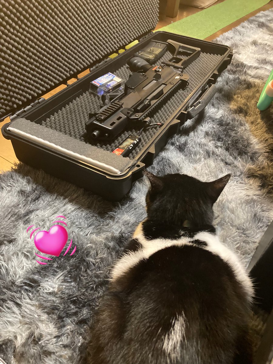 TOYAMA_T_B_SWAT's tweet photo. 昨日は､壊れたG36C君の修理が完了との事で､いざ石川県のちくわ司令の元へ🚗³₃故障はモーターの寿命でした🤣帰って試射後､お客様にも使っていただきました🌟バッテリーも新品だしバチ×2😆🌟ちくわ司令殿ありがとうございます #ISHIKAWABATTLEFIELD https://t.co/qrTpbK4hQD