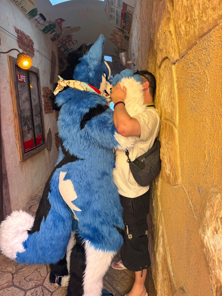 セト(Seto)→FURST CLASS tweet media