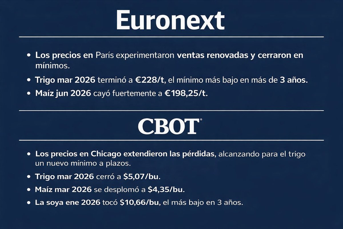 🌍📉 Global #grain markets closed sharply lower yesterday. 🇪🇺🇺🇸 A strong #euro, falling #oil prices 🛢️⬇️ and rising planted areas pressured prices. #Wheat, #corn &amp; #soy all hit new lows 📉🌾🌽🫘 while funds added selling pressure 💸❄️ Bearish mood dominates markets.