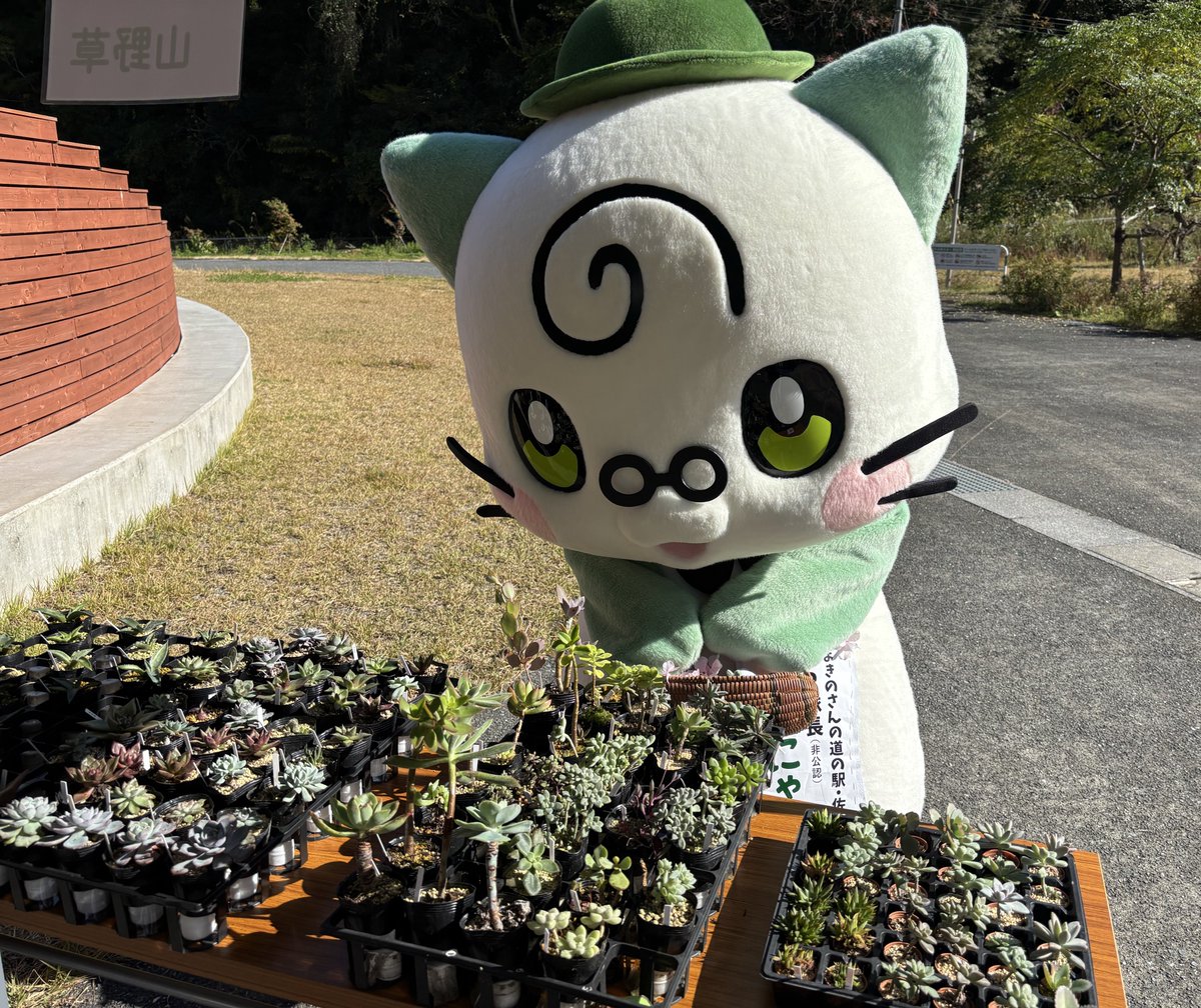 k12マーチ、にゃんさん専用為購入出来ません ボディが長い日産マーチ!? レアな『マーチボックス』が装着する